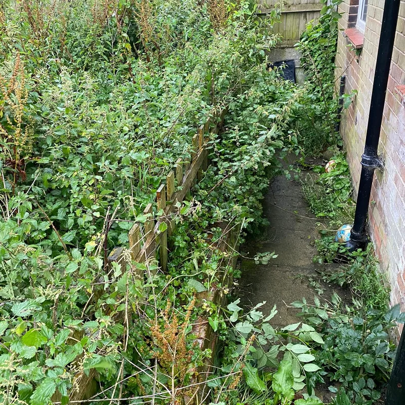 Quality Law Garden Ltd project 1