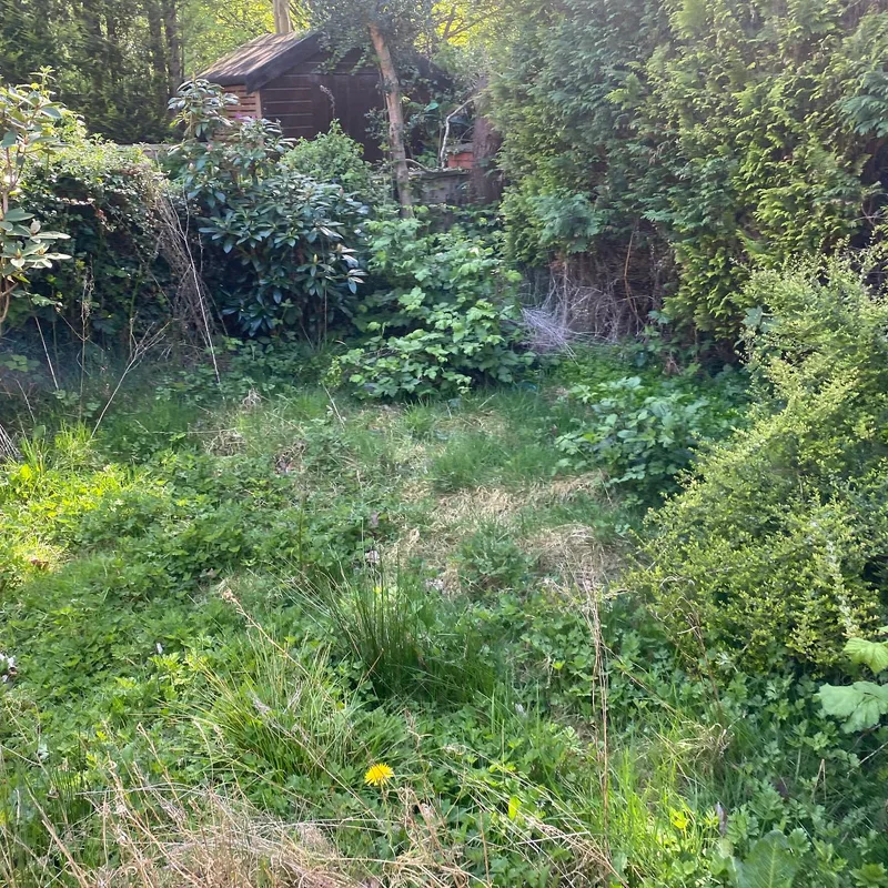 Quality Law Garden Ltd project 3