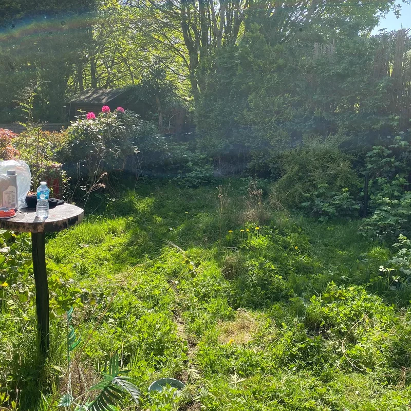 Quality Law Garden Ltd project 4