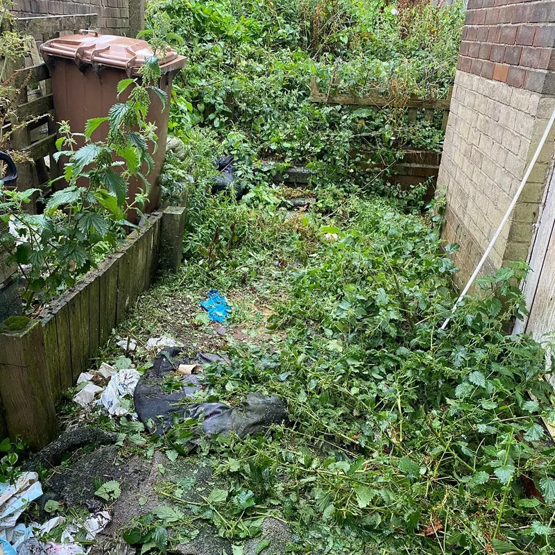 Quality Law Garden Ltd project 5