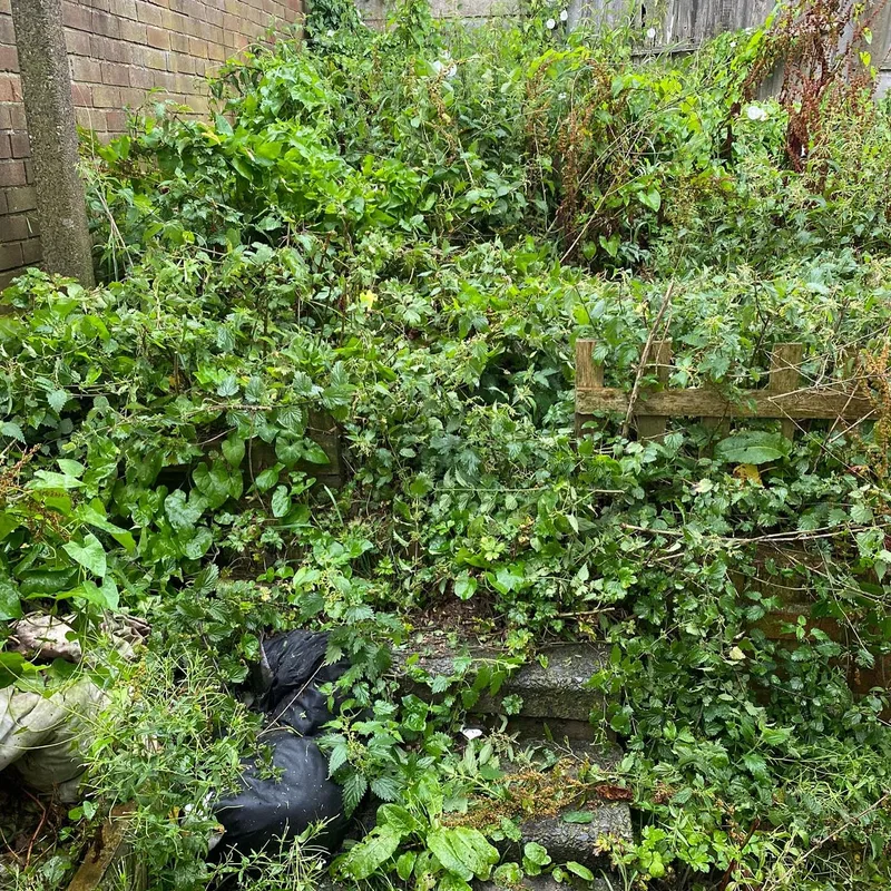 Quality Law Garden Ltd project 6