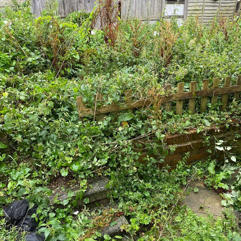 Quality Law Garden Ltd at work