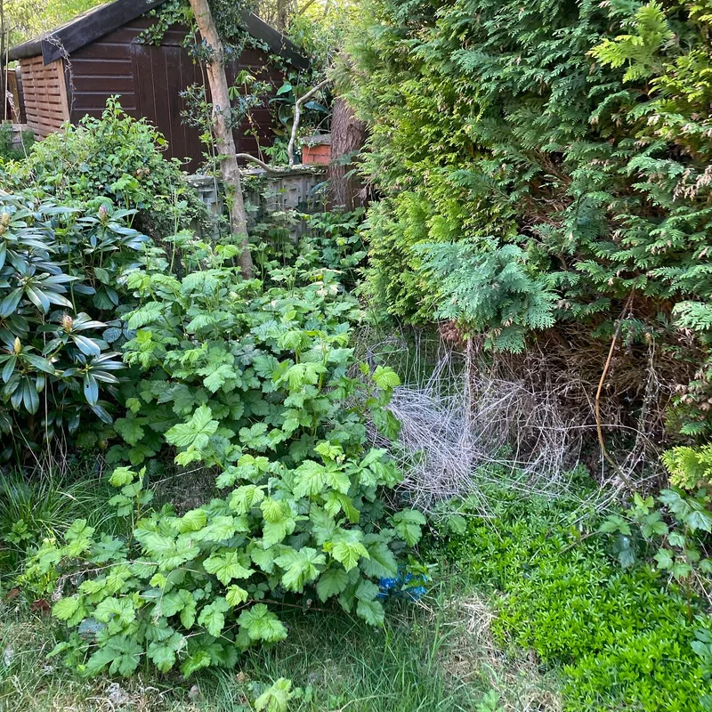 Quality Law Garden Ltd at work